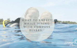 Diving at Compass Divers will be the best thing you ever did.